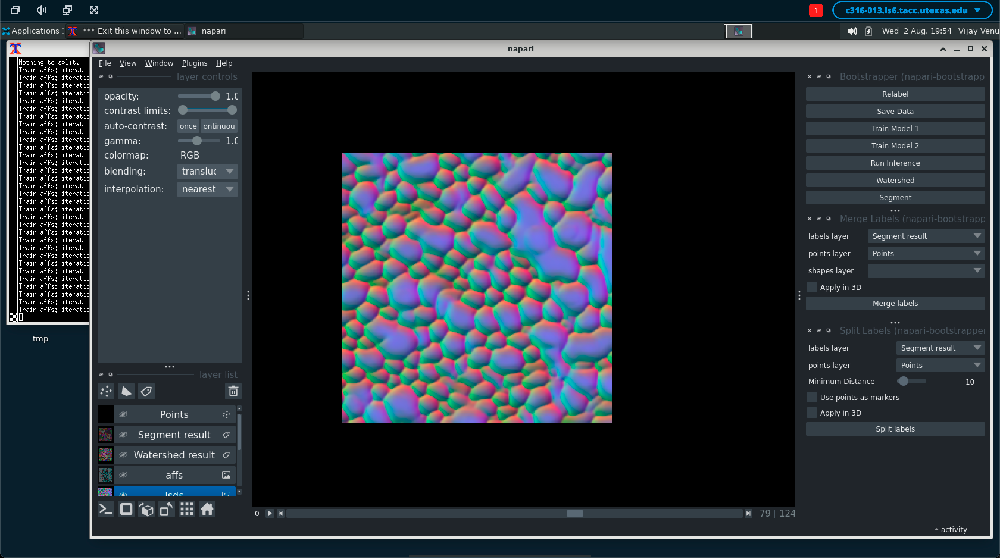 Interactive Jobs i.e. Napari app image - 1