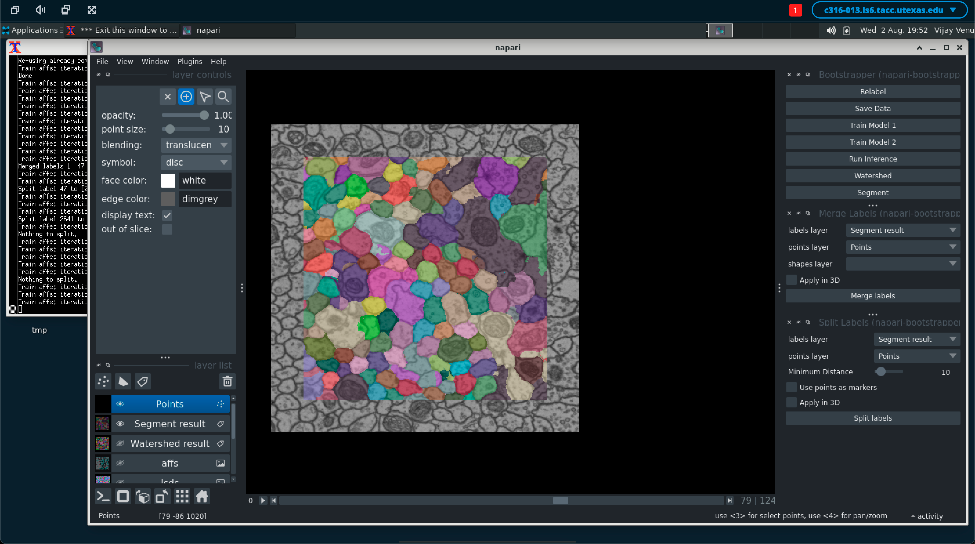 Interactive Jobs i.e. Napari app image - 2