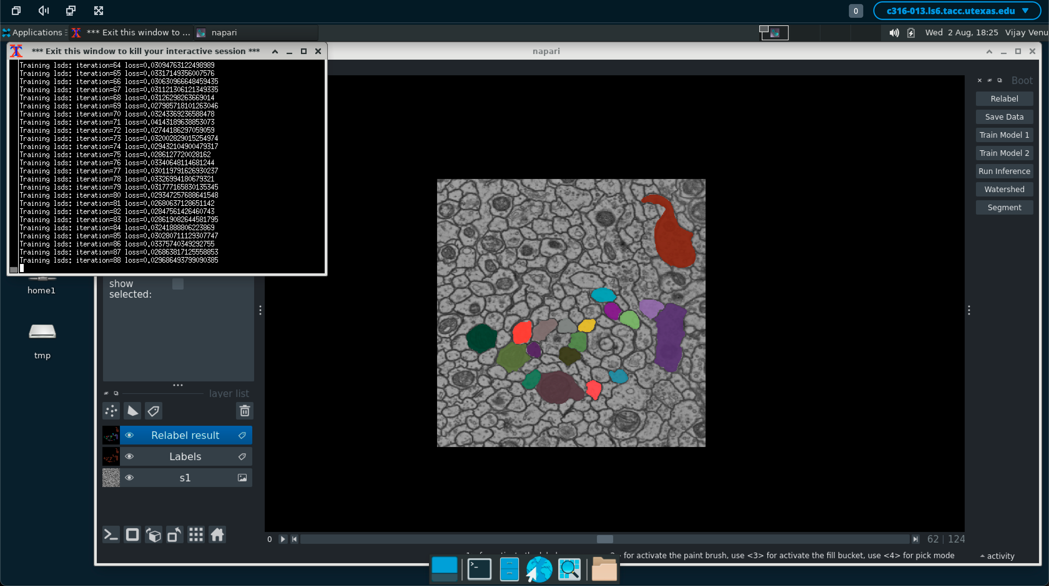 Interactive Jobs i.e. Napari app image - 3